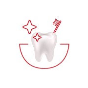 ¿Con qué frecuencia se cepilla los dientes?