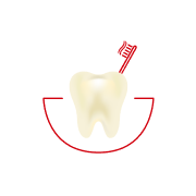 ¿Con qué frecuencia se cepilla los dientes?